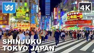 [4K] SHINJUKU NIGHTLIFE in Tokyo Japan 🇯🇵 2024 Kabukicho Virtual Walking Tour Vlog & Travel Guide