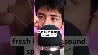 fresh batch of sound sprouts 🌱📍 