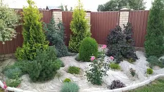 Альпийская горка своими руками. Альпийская горка из бетона. Растения на альпийской горке.