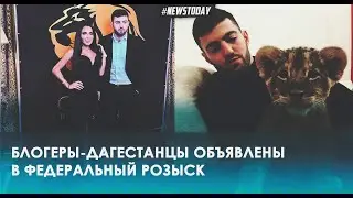 Дагестанские блогеры-миллионники Хиза и Лусик объявлены в розыск