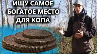 РАЗВЕ ТАКОЕ БРОСАЮТ В ЛЕСУ. РАЗВЕДКА ПРИВЕЛА НА БРОШЕННЫЙ РЕДУТ. Коп поиск монет 2023