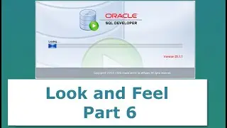 How to Change the Look and Feel of Oracle SQL Developer  - Part 6