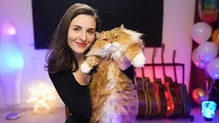 ПЯТНИЦА! ДР ПЛЮШИ! ПЕСНИ И ХОРОШЕЕ НАСТРОЕНИ Е!