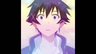 Somebody told me - nisekoi「AMV/EDIT」