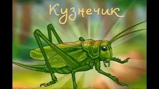 Какие насекомые бывают. Про насекомых для детей. Мир насекомых. Виды насекомых