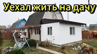 Новая жизнь на даче: как я уехал в природу. 
