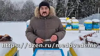 🔴 Что делать со слабыми семьями при зимовке пчел на улице 🔴