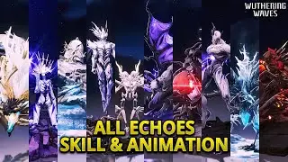 ALL ECHOES SKILL & ANIMATION WUTHERING WAVES