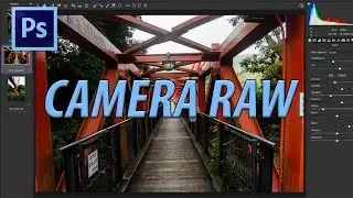 How to Use Camera Raw in Adobe Photoshop CC 2017