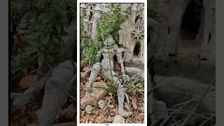 Арт объект стал частью леса! (🎥 - @Monthoux)