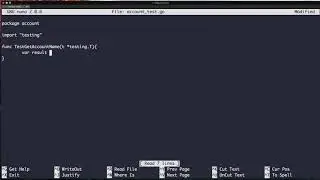 {ASMR} Writing unit tests in Go Lang