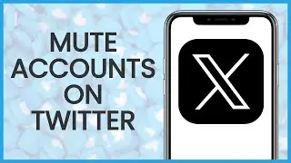 How to Mute Accounts on Twitter | Twitter Guide