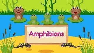 Amphibian Song