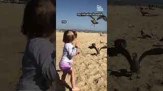 Little Girl Feeds Birds at Beach