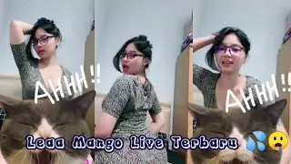 Julia Leaa Mango Live Bar Bar Terbaru 2023