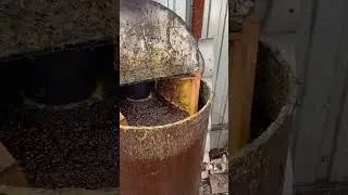 Как погода ? Друзья
