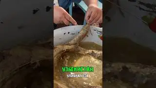 Уличная еда в Узбекистана 