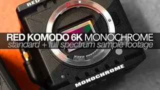 SAMPLE FOOTAGE: Red Komodo 6K Monochrome (Standard + Full Spectrum)