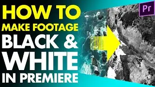 HOW TO MAKE FOOTAGE BLACK AND WHITE [In PREMIERE] Change Color Videos to Black And White in Premiere