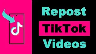 How to Repost TikTok Videos (NEW)