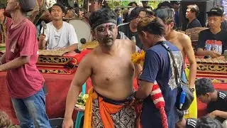 GEGER!! JARAN KEPANG PUTRO SINGO JALMO TERBARU LIVE IN PROTOMULYO