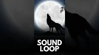 Wolf Howl Loop