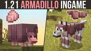 Minecraft 1.21 | Armadillo & Wolf Armor is Here!