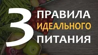 🔥 3 Главных Правила Идеального Питания | Как Составить Идеальный Рацион?