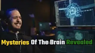 Unlocking the Mysteries of the Brain