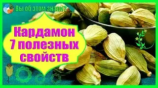 Кардамон — 7 полезных свойств