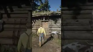 Karen Nak*d Looks Like This In RDR2 