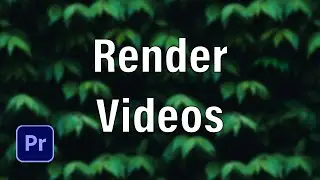 How to Render Videos in Premiere Pro 2024