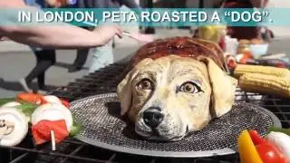 Londoners Were Offered Dog Meat – This Is How They Reacted