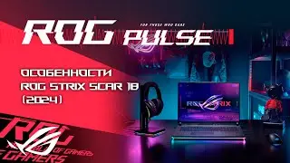 Half-Life 2, South of Midnight, Atomfall, Unreal Engine 5.5 / ROG PULSE [22.11.24]