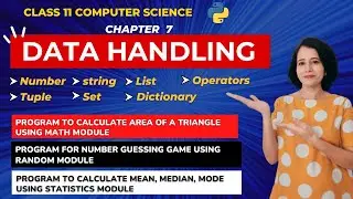 Chapter 7 Data Handling - ONE SHOT | Class 11 Computer Science | IN ENGLISH 🎯