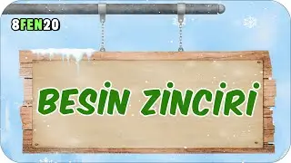 Besin Zinciri 📗 tonguçCUP 3.Sezon - 8FEN20 