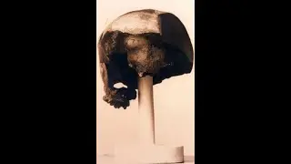 Florida ~ Mystery Of Vero Man & The Megafauna