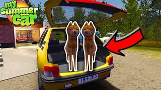 A RIDE WITH A FUNNY DOG IN PANIER 250 - My Summer Car