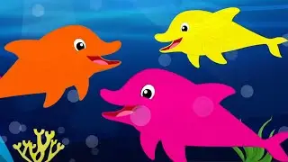 We Are The Dolphins, Fun Nursery Rhyme for Children by Kids Tv Baby Shark