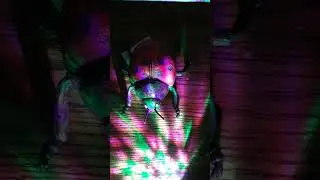 Highlight 1:04:33 - 1:09:33 from TOGETHER LIVE WH. #32