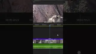 Adding Film Looks - Learning Premiere Pro 2024 