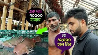 দামাদামি করে গরু কিনল ভাইটি । গাবতলি হাটের দেশি গরুর দাম । হাট সমাচার পর্ব ২। Gabtali Gorur Haat