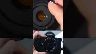 Something FISHY about this lens #shorts