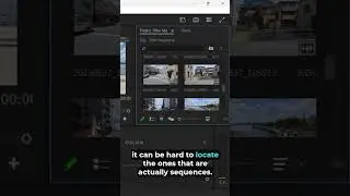How to show only sequences in Project Window of Premiere Pro?