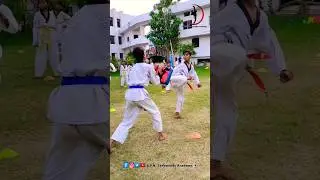 Taekwondo 