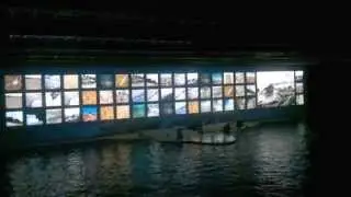 2014 07 07 Dolphin Show Kolmardens Animalpark