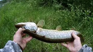 открыл сезон спиннинга 05 06 2021