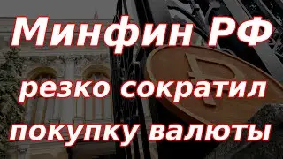 Минфин России резко сократил покупки валюты, а Банк России нарастил продажи