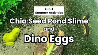 How To Make Chia Seed Slime and How To Make Frozen Dinosaur Eggs | 2 Activities in 1