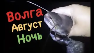 Волга. Август.Часть первая - ночная!